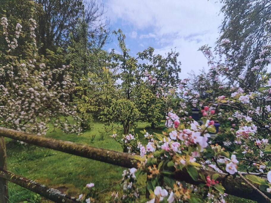 Nature Charm & Fruit Delights, Multi-generation Celebratory -try, Relax, Repeat - Sellindge *
