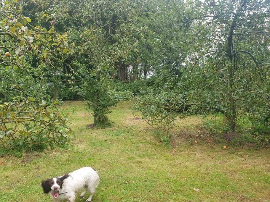 Nature Charm & Fruit Delights, Multi-generation Celebratory -try, Relax, Repeat - Sellindge *