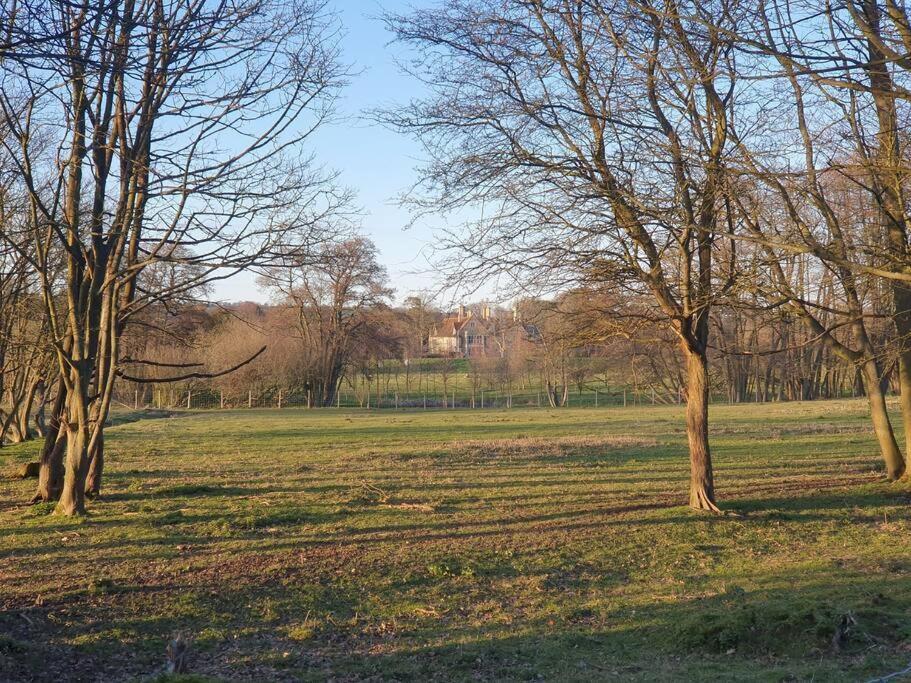 Nature Charm & Fruit Delights, Multi-generation Celebratory -try, Relax, Repeat - Sellindge Holiday home