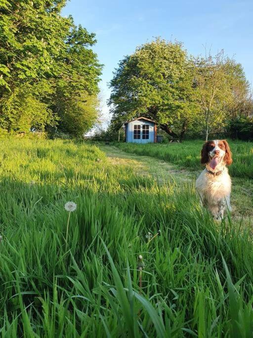 Holiday home Nature Charm & Fruit Delights, Multi-generation Celebratory -try, Relax, Repeat - Sellindge Ashford (Kent)
