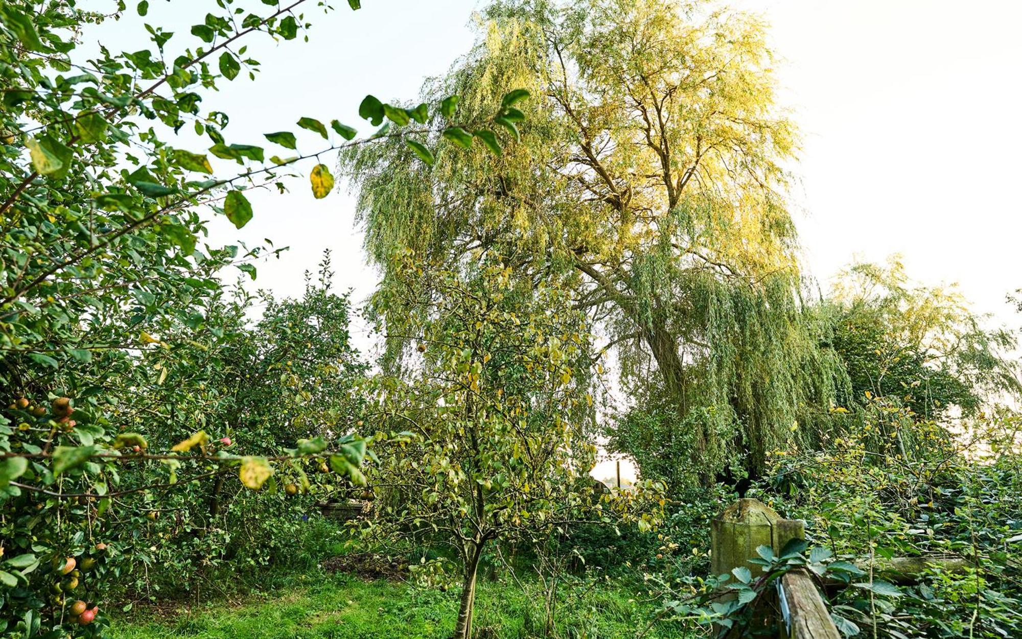 Holiday home Nature Charm & Fruit Delights, Multi-generation Celebratory -try, Relax, Repeat - Sellindge *